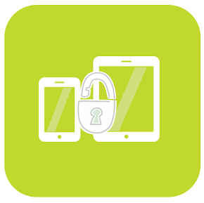 Mobile Device Management